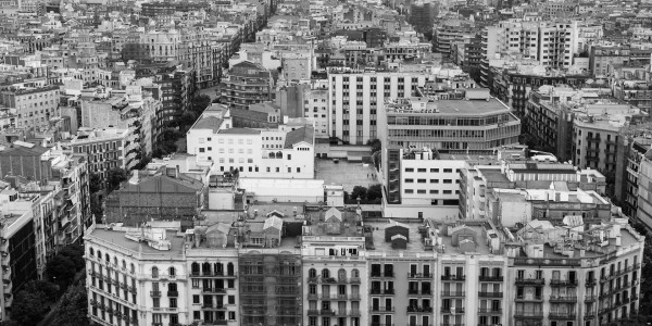 Delitos Contra la Propiedad / Urbanísticos en Toledo · Parcelación en Suelo No Edificable